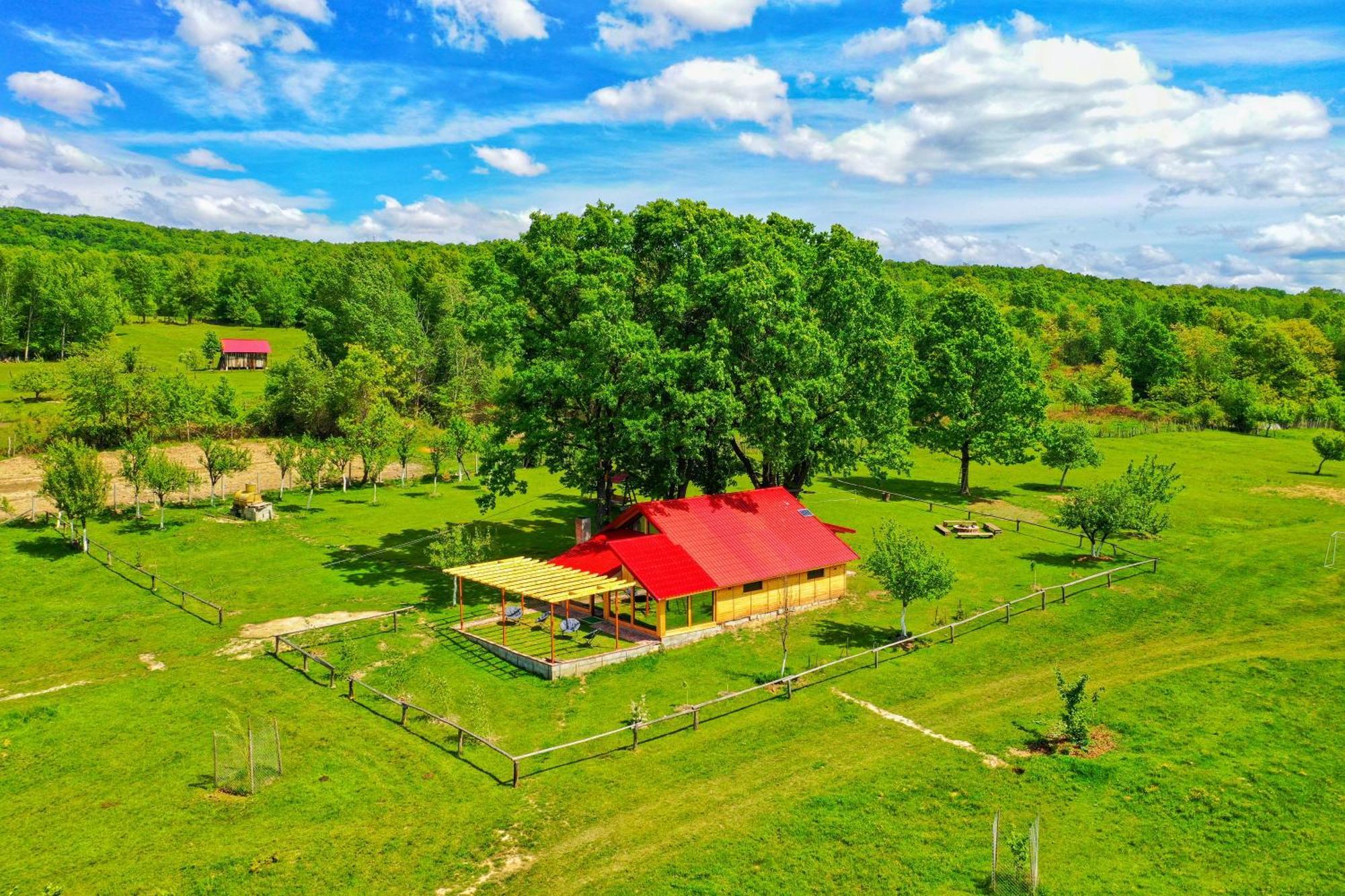 Villa Casuta Din Stejari-Transalpina Novaci-Străini Exterior foto